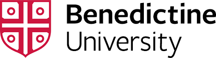 BenU Undergrad Business